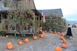 Halloween Fest at the Wood House, 2011. (Gary Wilkinson photo)
