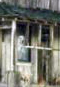 Wood House Ghost-enlarged